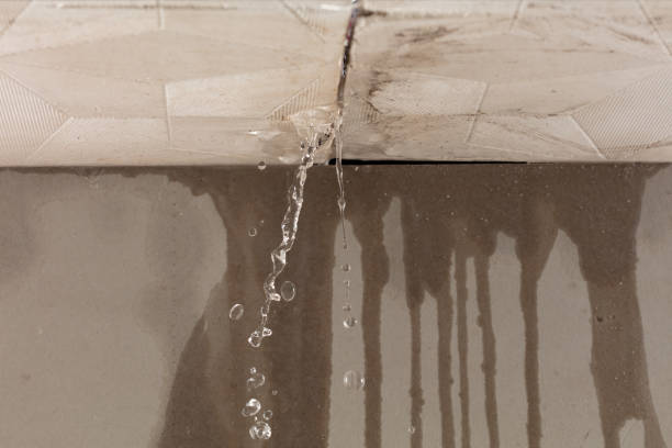 Professional Structural Drying technician working in Valmeyer, IL